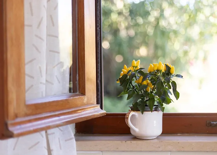 Casale Di Mare By Elbasummer